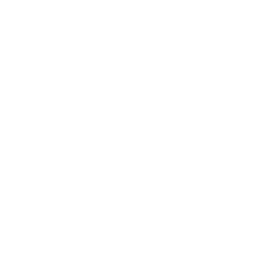 Logo en-tête : contour d'une maison avec deux empreintes stylisées, texte " Andréa SINSEAU Pédicure Podologue DE " dessous.